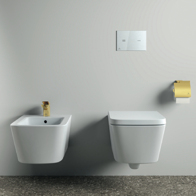 Wall Mounted Bidet