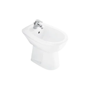 Floor Seated Bidet