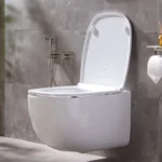 Modern Italian  Ceramic Wall Hung |toilet New Rimless