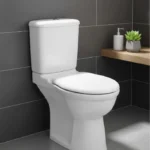 Toilet Seat Wall Mounted Floor