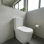 Modern One Piece Toilet 8022 Extra