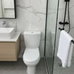 Practical Toilet Seat 443 Chroma