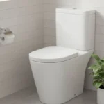 Toilet Seat Wall Mounted Tonic