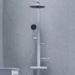 Rain Shower System With Shelf